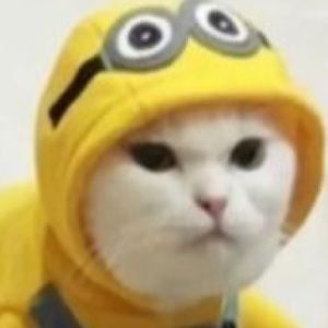 Meet your Posher, Kylee